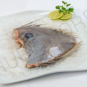 GALLO-SAN-PEDRO-AFRICA