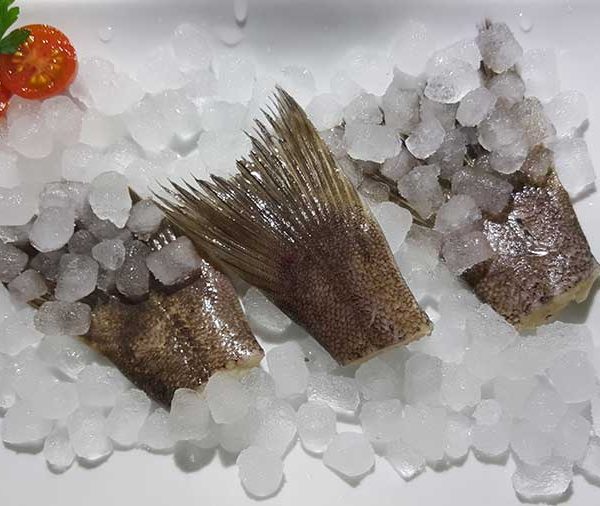 FLETAN-COLAS