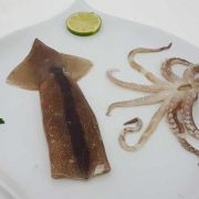 POTA-VAINA