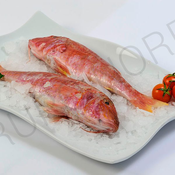 SALMONETE-FAO-34